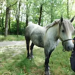 Les 2 Figuiers 度假居 Dognen