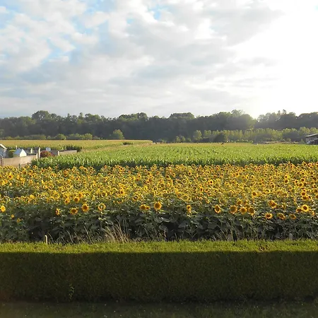 Les 2 Figuiers 別荘