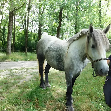 Les 2 Figuiers 別荘 Dognen