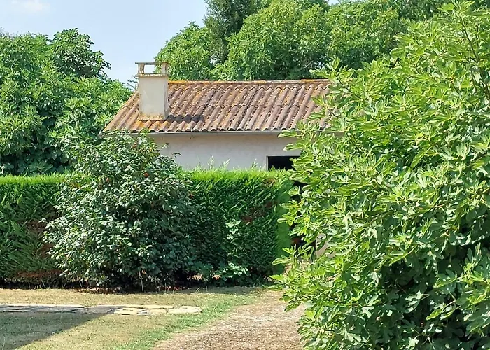 Les 2 Figuiers * Dognen