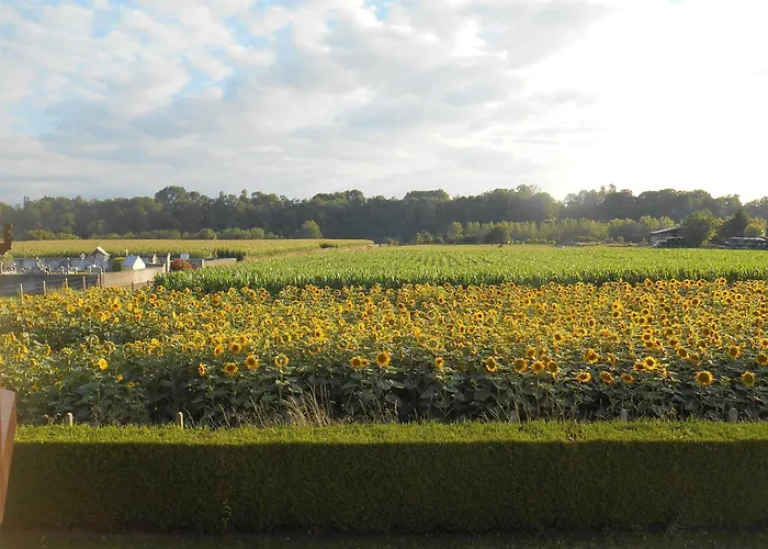 Les 2 Figuiers 別荘