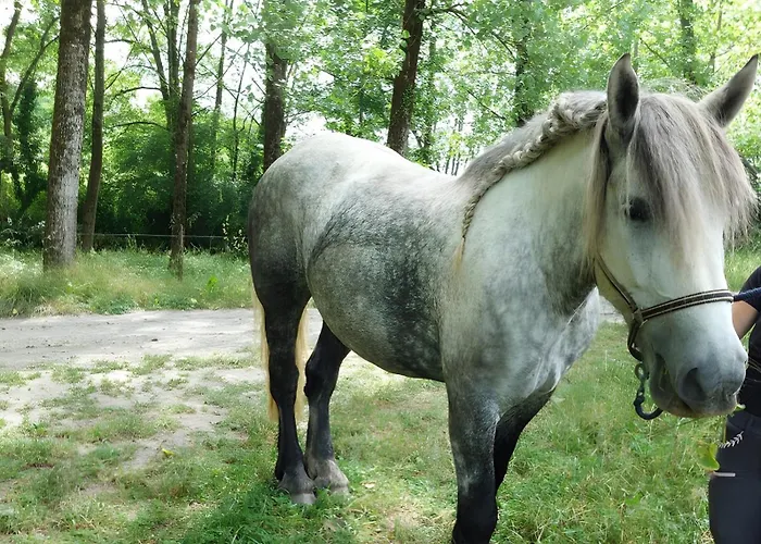 Les 2 Figuiers Vakantiehuis Dognen