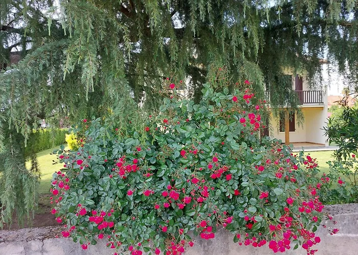 Les 2 Figuiers Dognen